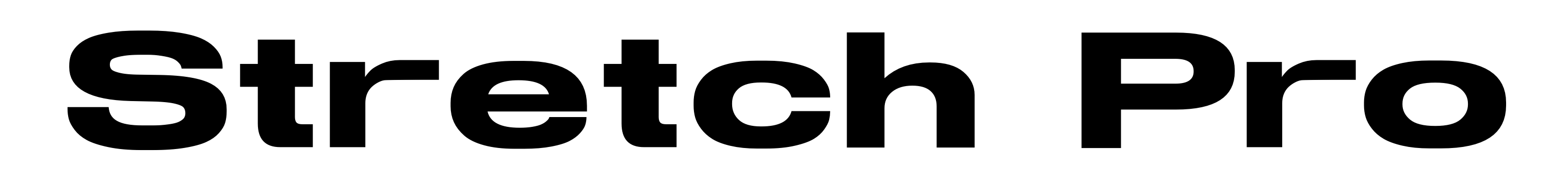 Stretch Pro